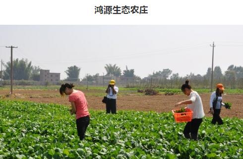 广东鸿源集团有限公司